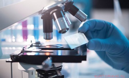 Купить анализ простоты в Москве без прохождения 