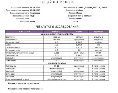 Купить анализ мочи общий в Москве с доставкой